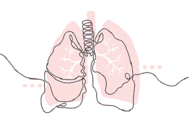 Anatomy and Pathophysiology Series; The Respiratory System Webinar