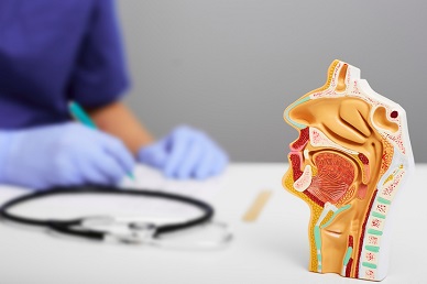 ENT Procedures, Surgeries and Other Hot Topics Webinar