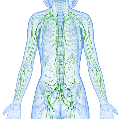 Anatomy and Pathophysiology Series; The Lymphatic System Webinar