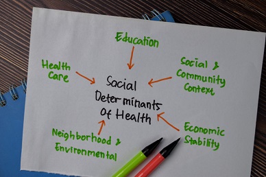 Getting to Know the Social Determinants of Health Webinar